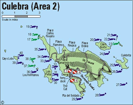 Puert Rico - Culebra dive sites and dive operators